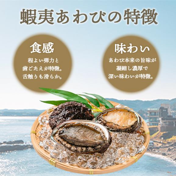 あわびステーキ(中)50g 冷凍便 アワビ 鮑 海鮮 ギフト プレゼント お取り寄せ＃803