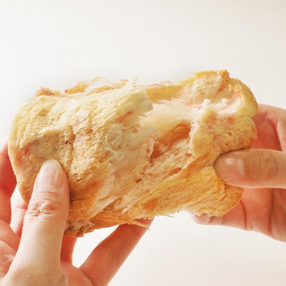 おいしい備蓄缶パン 100g×6缶セット 非常食 パン 缶詰 5年 パン アキモトのパンのかんづめ 乳酸菌入り アキモトのパン缶詰 備蓄 防災 保存食 長期保存 ※常温便限定 #803