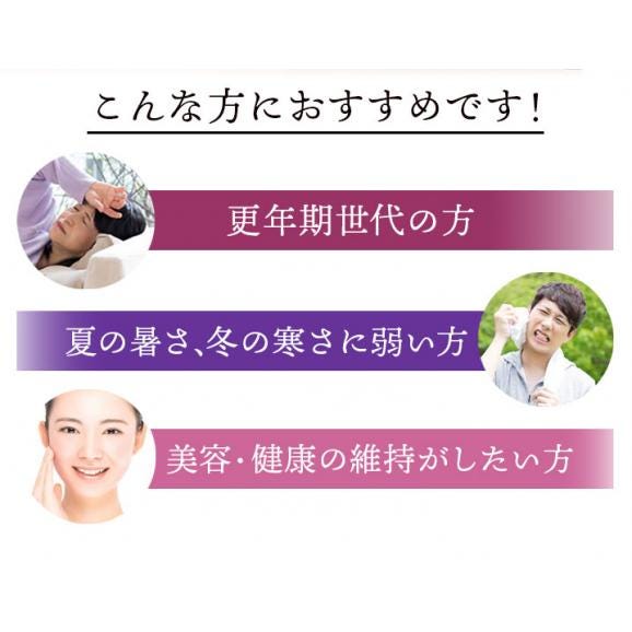 J's 高麗ロイヤルショット2【3本セット】常温便・冷蔵便可【送料無料】＃803