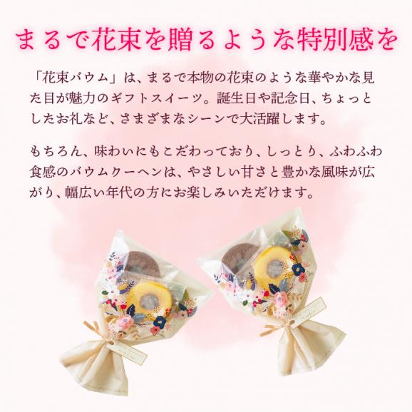MIYABI'S バウムクーヘン 花束バウム（プレーン、チョコラテ、宇治抹茶） 送料無料 メール便 同梱・ギフト包装・日時指定不可  503502