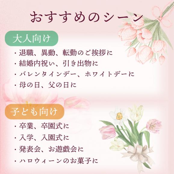 MIYABI'S バウムクーヘン 花束バウム（プレーン、チョコラテ、宇治抹茶） 送料無料 メール便 同梱・ギフト包装・日時指定不可  503503