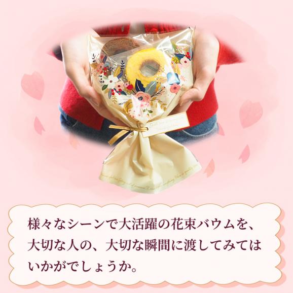 MIYABI'S バウムクーヘン 花束バウム（プレーン、チョコラテ、宇治抹茶） 送料無料 メール便 同梱・ギフト包装・日時指定不可  503506