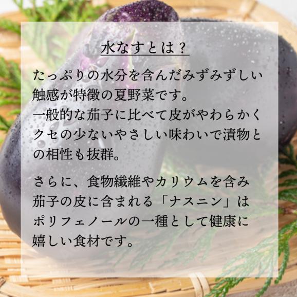 【冷蔵限定】水なすキムチ 6切れ約200g【※発送日限定【水13:00〆→金出荷・金13:00〆→翌火出荷】】水茄子 みずなす 水ナス 韓国 #803