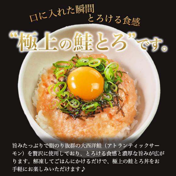 鮭とろ (大西洋鮭使用)100g×3袋 冷凍便/鮭 手巻き 寿司 海鮮丼 鮭とろ 鮭トロ サーモン ご飯のお供 北海道 札幌市 おとりよせ#802