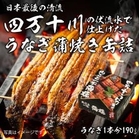 うなぎ 丸ごと一本蒲焼 缶詰 190g うなぎ ウナギ 鰻 国産 かば焼き 蒲焼き うな重 鰻重 グルメ ギフト 父の日 プレゼント おとりよせ お取り寄せ 中元  【常温便・クール冷蔵便】＃8