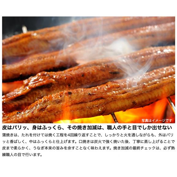 うなぎ 丸ごと一本蒲焼 缶詰 190g うなぎ ウナギ 鰻 国産 かば焼き 蒲焼き うな重 鰻重 グルメ ギフト 父の日 プレゼント おとりよせ お取り寄せ 中元  【常温便・クール冷蔵便】＃804