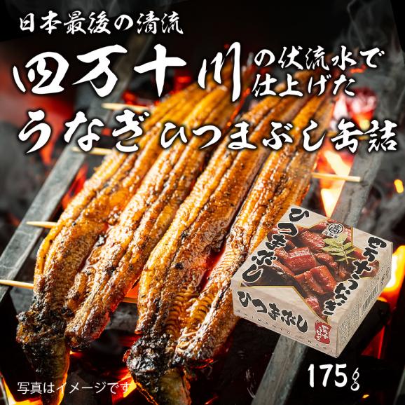うなぎ ひつまぶし 缶詰 175g うなぎ ウナギ 鰻 国産 かば焼き 蒲焼き うな重 鰻重 土用丑の日 高知県 グルメ ギフト 父の日【常温便・クール冷蔵便】#801