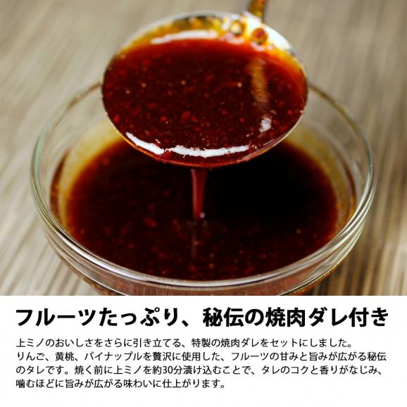 大阪鶴橋 上ミノ焼肉セット 上ミノカット200g・秘伝のタレ190g 冷凍便 上ミノ ホルモン 冷凍ホルモン 冷凍食品 おつまみ 焼き肉 焼肉 牛肉 肉 グルメ お取り寄せ 鶴橋 ギフト＃804