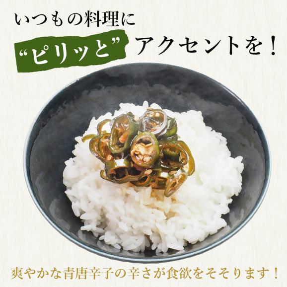 青唐辛子の醤油漬け250g  冷蔵便 唐辛子 とうがらし プルコッチ 激辛 辛い 旨辛 ご飯のお供 おつまみ 韓国グルメ 韓国食品 鶴橋 コリアタウン おとりよせ ギフト02