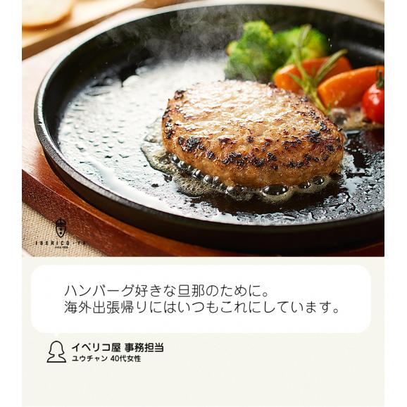 【お料理のアレンジに】イベリコ豚 絶品 ハンバーグの素 挽き肉 タネ ハンバーグ パテ 冷凍 イベリコ屋04