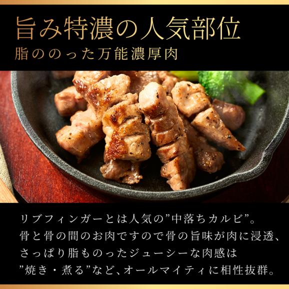 【超還元祭 30％OFF】イベリコ豚 特上 霜降り カルビ 約1kg 大特価 SALE レアル・ベジョータ 焼肉 BBQ 冷凍 ※カルビ 2PC（1kg）02