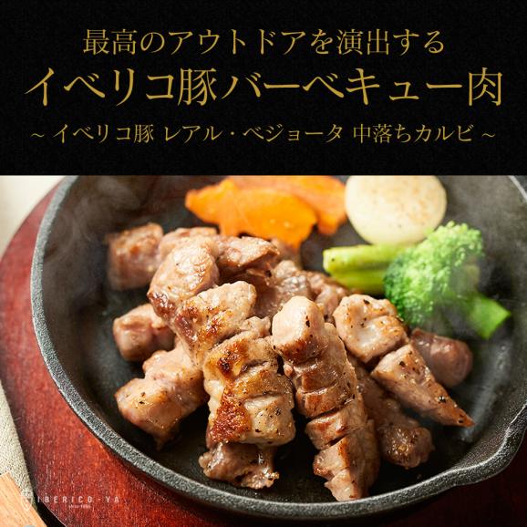 【超還元祭 30％OFF】イベリコ豚 特上 霜降り カルビ 約1kg 大特価 SALE レアル・ベジョータ 焼肉 BBQ 冷凍 ※カルビ 2PC（1kg）04
