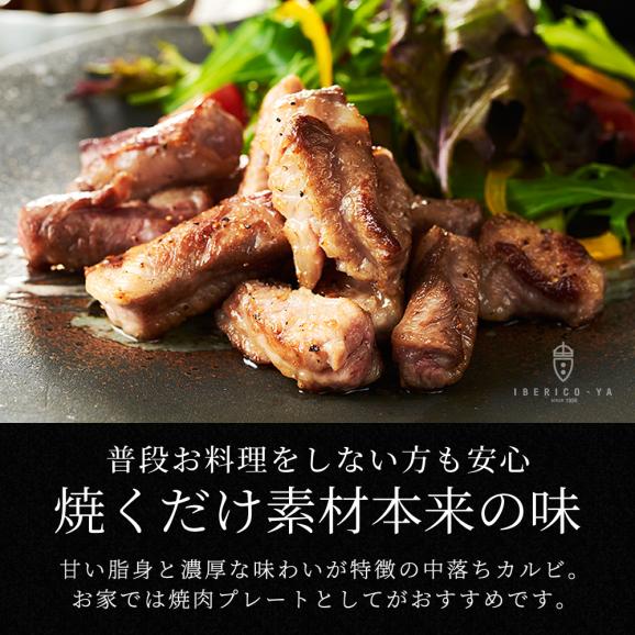 【今月の超目玉 20％OFF】イベリコ豚 特上 霜降り カルビ 約1kg 大特価 レアル・ベジョータ 焼肉 BBQ 冷凍 ※カルビ 2PC（1kg）04