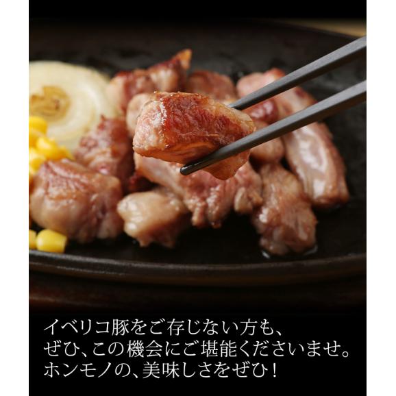 【超還元祭 30％OFF】イベリコ豚 特上 霜降り カルビ 約1kg 大特価 SALE レアル・ベジョータ 焼肉 BBQ 冷凍 ※カルビ 2PC（1kg）06