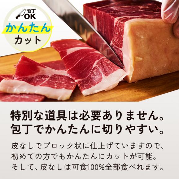 【人気の生ハムブロック】 ミニ原木 スペイン産 ブロック ハム 250～300g 誕生日 お祝い 母の日 ギフト プレゼント 送料無料 冷蔵 03