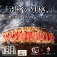 【新発売】格之進×イベリコ屋 コラボ 絶品ハンバーグ 6個入り 熟成和牛とイベリコ豚 冷凍 送料無料 肉 ギフト