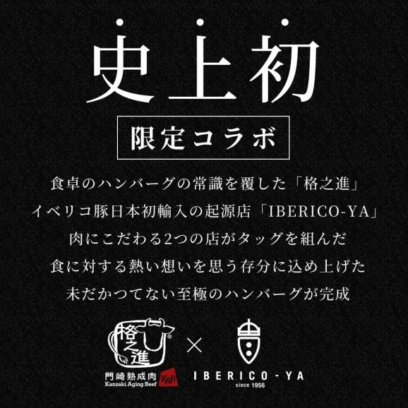 【新発売】格之進×イベリコ屋 コラボ 絶品ハンバーグ 6個入り 熟成和牛とイベリコ豚 冷凍 送料無料 肉 ギフト02