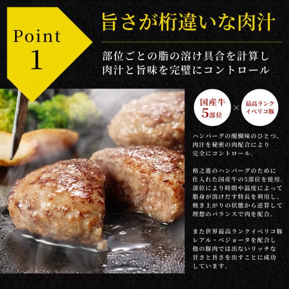 【新発売】格之進×イベリコ屋 コラボ 絶品ハンバーグ 6個入り 熟成和牛とイベリコ豚 冷凍 送料無料 肉 ギフト03