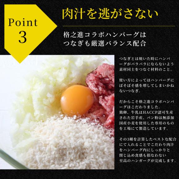 【新発売】格之進×イベリコ屋 コラボ 絶品ハンバーグ 6個入り 熟成和牛とイベリコ豚 冷凍 送料無料 肉 ギフト05