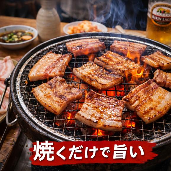 【新生活応援！激得SALE】早い者勝ち特価 豚バラ ブロック 1kg 豚肉 食品 肉 お徳用 冷凍05