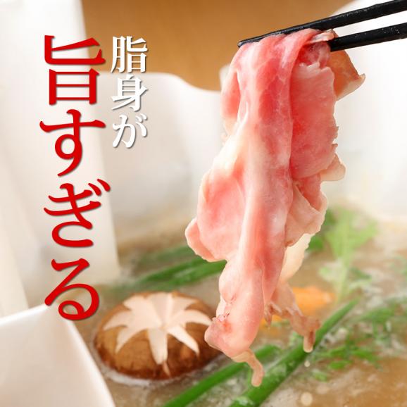 イベリコ豚 バラ スライス 500g 豚バラ しゃぶしゃぶ 冷凍 イベリコ屋03