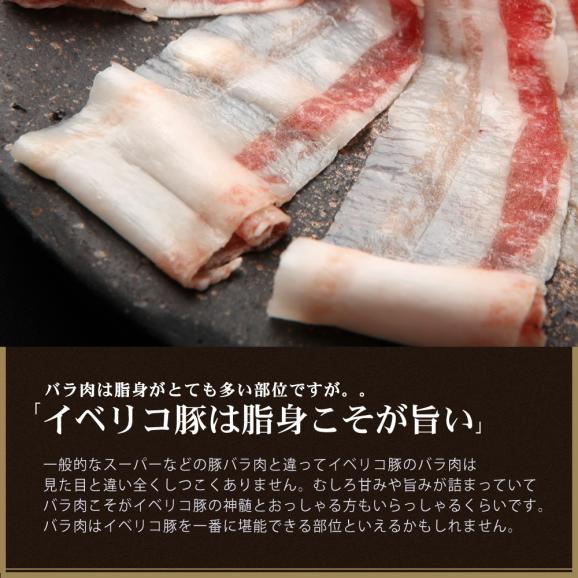 イベリコ豚 バラ スライス 500g 豚バラ しゃぶしゃぶ 冷凍 イベリコ屋06