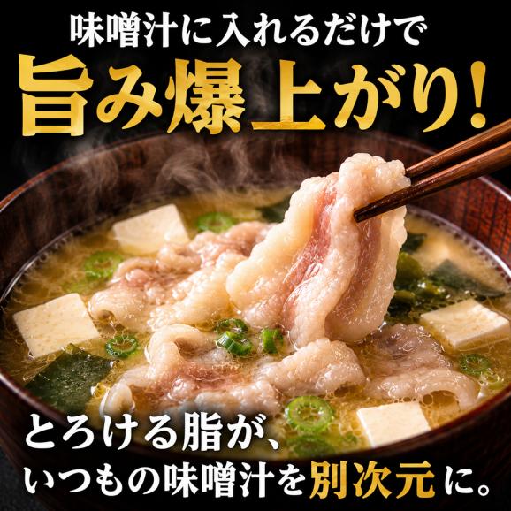 【新発売 今だけ！お試し特価645円】料理が超絶旨くなる 旨味の素 追いイベリコ 300g イベリコ豚 レアル・ベジョータ バラ 冷凍03