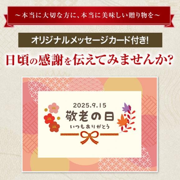【送料込☆敬老の日カード付き】敬老の日ギフト　敬愛セット　10種53個　※お届け日指定がない場合9月10日以降にお届け04