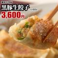 【世界チャンピオンの店　横浜中華街 皇朝】絶品!!黒豚生餃子60個入（20個入×3箱）