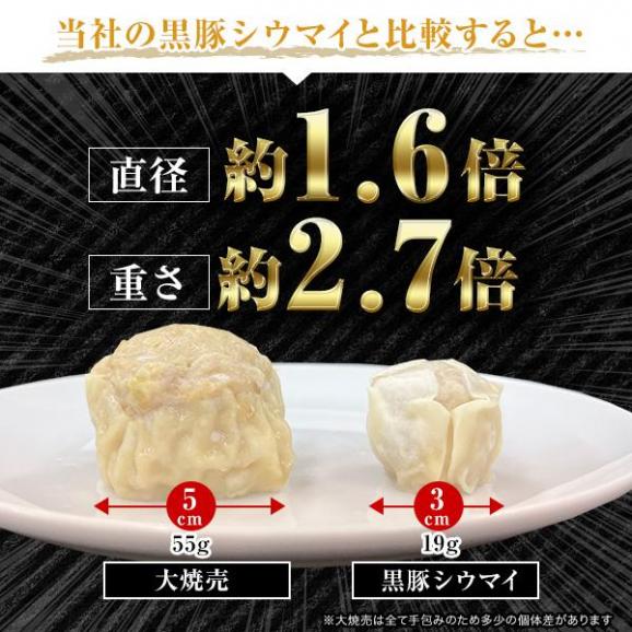 横浜大焼売6個+横浜ホタテ大焼売6個04
