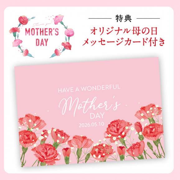 【送料込☆花咲く工芸茶付き☆】母の日ギフト 愛情セット 5種19個 ※お届け日指定がない場合5月5日以降にお届け04