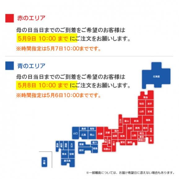 【送料込☆花咲く工芸茶付き☆】母の日ギフト 愛情セット 5種19個 ※お届け日指定がない場合5月5日以降にお届け06
