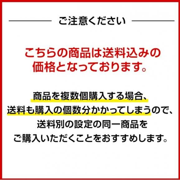  【送料込み】世界チャンピオンの肉まん10個入【横浜中華街　皇朝】03