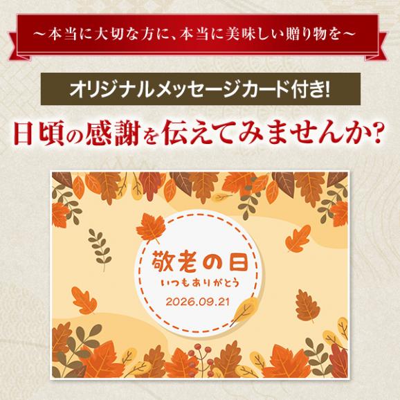 【送料込☆敬老カード付き】敬老の日ギフト　敬愛セット　10種53個　※お届け日指定がない場合9月16日以降にお届け04