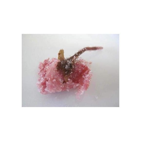 桜の花　塩漬け（1kg）04