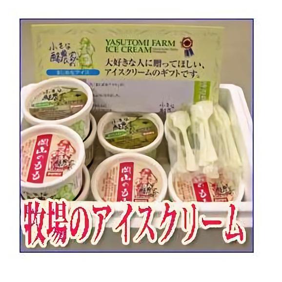 【送料無料】ちいさな酪農家のまじめなアイスクリーム01