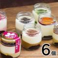 【6個入り】和ティラミス