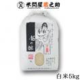 龍の瞳 いのちの壱 5kg 令和6年産 