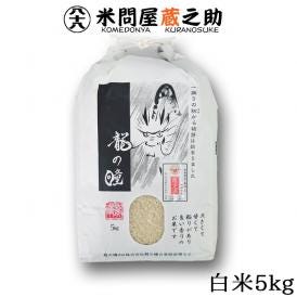 龍の瞳 いのちの壱 5kg 令和6年産 