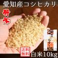 愛知県産 コシヒカリ 10kg 令和6年産 