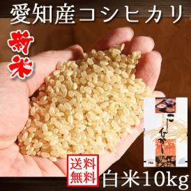 新米 愛知県産 コシヒカリ 10kg 令和5年産 送料無料 (一部地域除く)