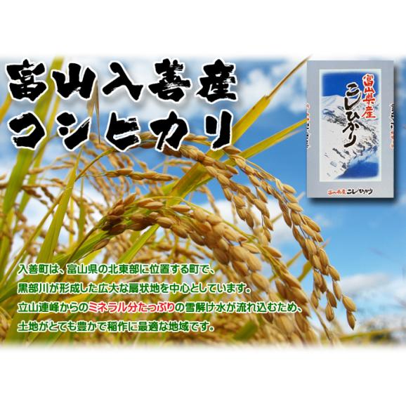 富山県産 コシヒカリ 10kg 令和6年産 02