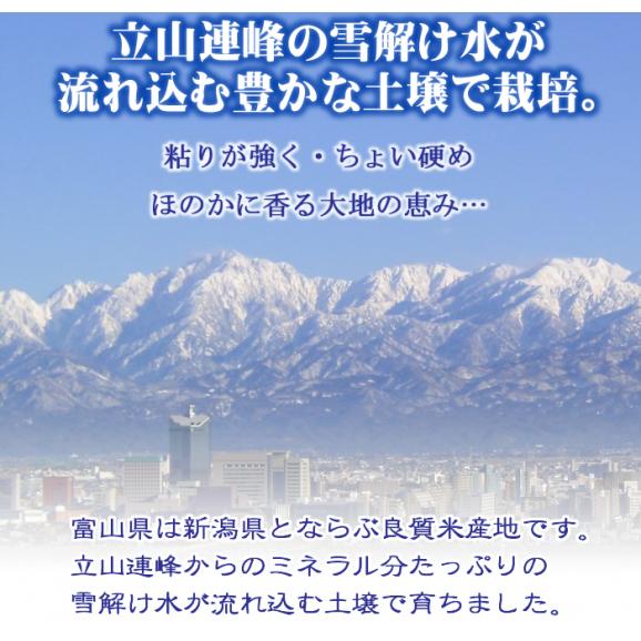 富山県産 コシヒカリ 10kg 令和6年産 03