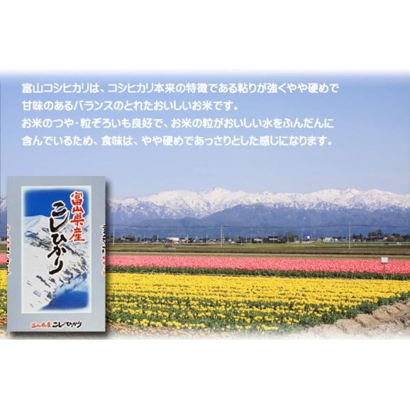 富山県産 コシヒカリ 10kg 令和6年産 05