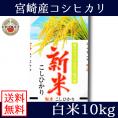 宮崎県産 コシヒカリ 10kg 