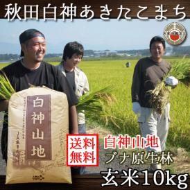 玄米 あきたこまち 秋田県産 白神山地 10kg