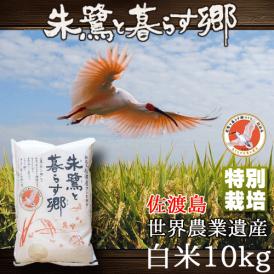 朱鷺と暮らす郷 新潟県 佐渡産 コシヒカリ 10kg 特別栽培 令和4年産 送料無料 (一部地域除く)