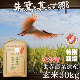 玄米 朱鷺と暮らす郷 新潟県 佐渡産 コシヒカリ 30kg 特別栽培 令和4年産 送料無料 (一部地域除く)