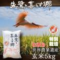 玄米 朱鷺と暮らす郷 新潟県 佐渡産 コシヒカリ 5kg 特別栽培 令和6年産