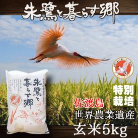 玄米 朱鷺と暮らす郷 新潟県 佐渡産 コシヒカリ 5kg 特別栽培 令和5年産